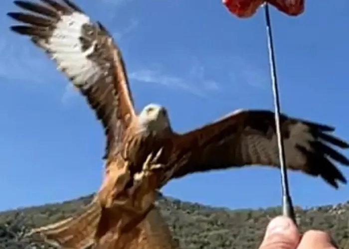 Chez Marco & Cappellina Muro (Corsica)