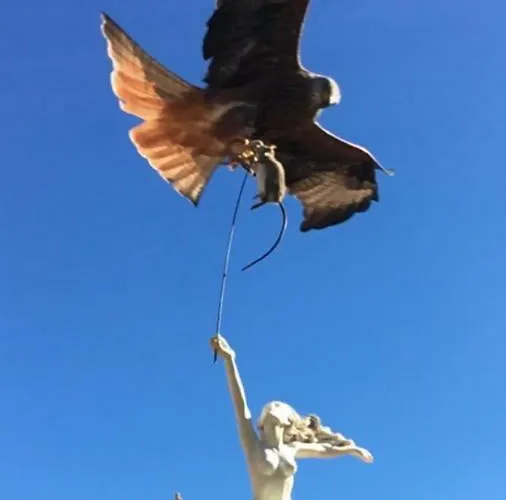 Chez Marco & Cappellina * Muro (Corsica)