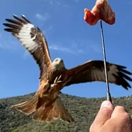 Chez Marco & Cappellina Muro (Corsica)