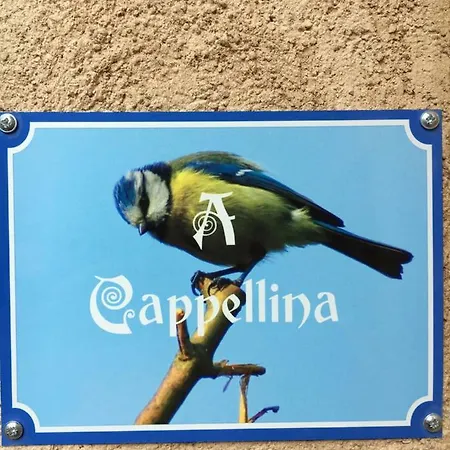 Chez Marco & Cappellina Holiday home *