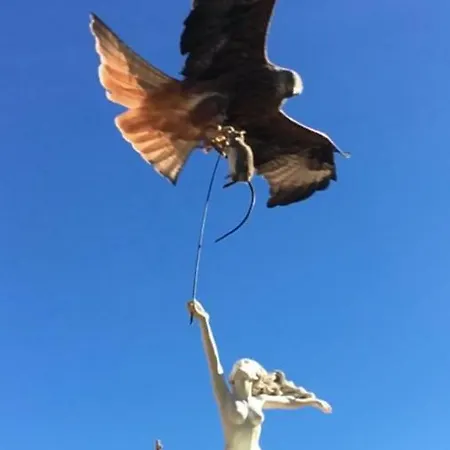 Chez Marco & Cappellina * Muro (Corsica)